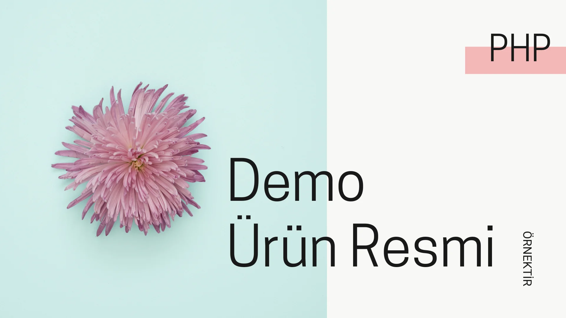 QuickShop Demo Ürün